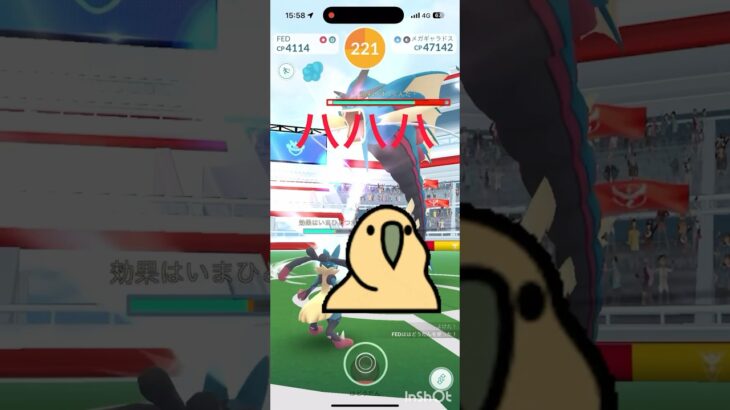 メガギャラドス1人討伐リベンジ！#ぽけもん #ポケモンgo #shorts #pokemon #pokemongo