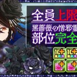 【木星チャレンジ】ロゼッタとかいう化け物使って遊ぶ！【パズドラ】