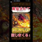 黄猿求めて回しまくる！ #トレクル