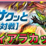 【パズドラ8人サクっと】ディアラカップでEP2000まで稼ぐ！スナイプ歓迎！【雑談】