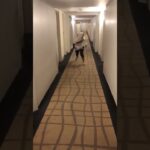 修学旅行にて就寝時間過ぎてから廊下で荒野行動の真似をしていたら… #修学旅行 #本気出してみた #時を戻そう #僕らの青春 #おもしろ動画