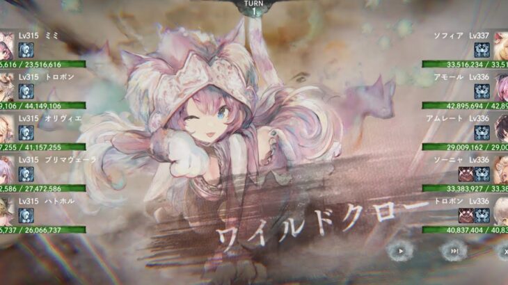 【メメントモリ】【ダメージ】全然みんなと違いすぎて強すぎだろと思った。