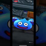 #若武者レックス装備ガチャ マイレージ10連(7) #ドラクエウォークガチャ 2025年5月21日