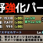 【解説】ケリ姫ネクロマンサーの1体ループはヤバくね？【パズドラ】