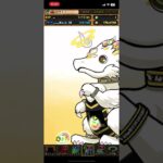 パズドラ　神器龍フェス　5連