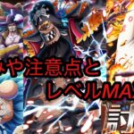 [トレクル]新たに追加された討伐祭！どういう編成がオススメ！？注意点や仕様を解説！[OPTC][11周年][討伐祭]