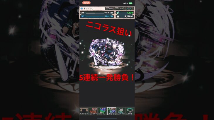 パズドラ  ガンホーコラボガチャ ニコラス狙いの5連続一発勝負！ #ガチャ神引き #パズドラ #パズドラガチャ