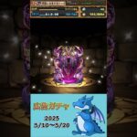 [パズドラ]  広告ガチャ　2025/5/11〜5/20