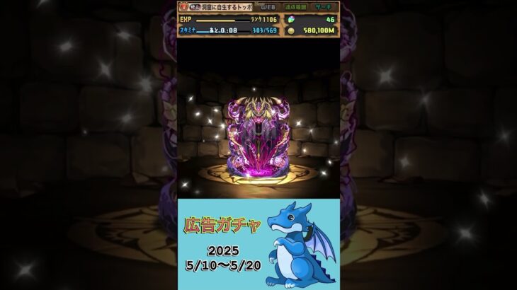 [パズドラ]  広告ガチャ　2025/5/11〜5/20