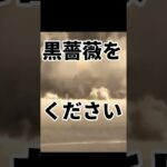 黒薔薇を狙ったものの末路#パズドラ　#ゲーム  #星を紡ぐ精霊