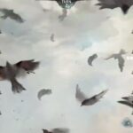 【メメントモリ】コルディ軸クエスト攻略8-13