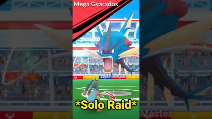 *SOLO* MEGA GYARADOS Raid in Pokemon GO.