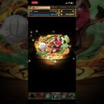 パズドラ　ハイキュー!!5連