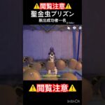 セノの拷問部屋〜逃げ場はないぞ〜　#原神 #hoyovers #hoyocreators #hoyoverse #genshinimpact #genshin #セノ #塵歌壺 #ボカロ #脱獄