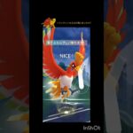 やっぱマスターしか勝たん！(勝てん) #ポケモンgo #ポケモン #gbl