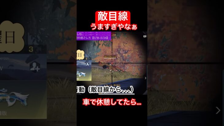 【荒野行動】敵がうますぎ。こんな遠距離から休憩しているおじさんを1発で射抜くなんて（涙）そりゃ勝てないわ。優勝はいつの日やら（涙） #ねこ #ゲーム実況 #荒野行動 #おじさん #中年 #英語