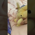 【あんスタMusic】セツナDrops SPP #大彩 #ぬいぐるみ #あんさんぶるスターズ #あんスタ #tears #セツナDrops #