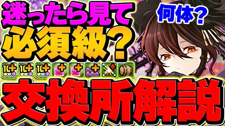 【絶対見て】黒薔薇は何体確保するべき？オススメ交換の弾解説も！これ見ればOKです！【パズドラ】