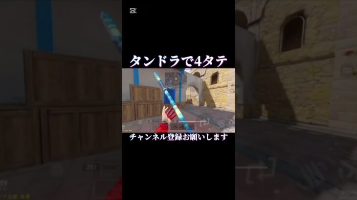 タンドラで4タテ！ #sr #荒野行動