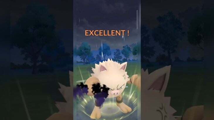 #ふんどのこぶし溜まるの早すぎ！#ポケモンgo #ポケモン #pokemongo