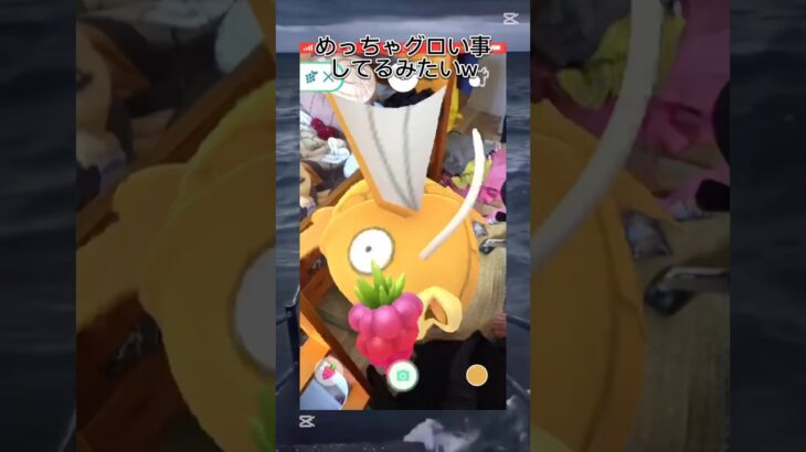 弟提供 #800人目標 #ポケモン #ポケモンgo #コイキング#色違い#グロい