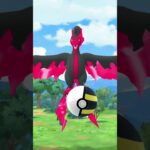 ガラルファイヤーがあらわれた！！#不老不死#ポケモンgo #ガラル三鳥