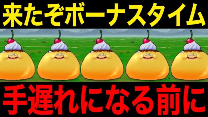 週末限定の必殺技があります。大量獲得の大チャンスです【ドラクエウォーク】