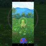 ポケモンGO!の コミュニティデイ(復刻版) で 色違いのワンリキー