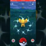 色コリンクゲット！#ポケモン #ポケモンgo #pokemon #ポケgo #ポケモンgo色違い