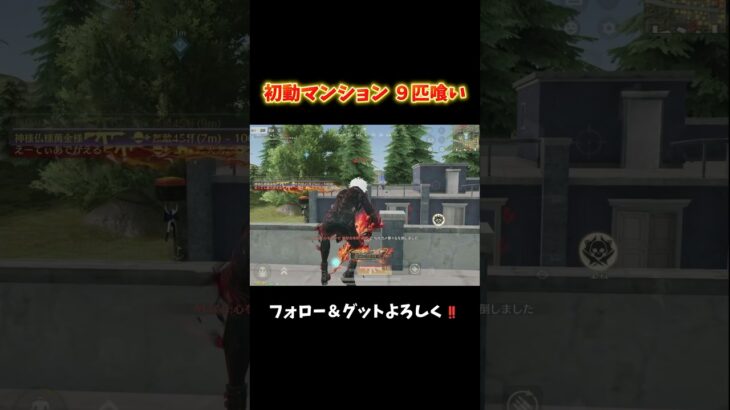 2連は俺の庭だって #shorts #荒野行動 #あでがえーる