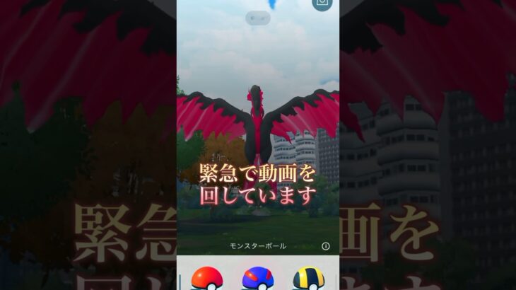 【ポケモンGO】ガラルファイヤーゲットチャレンジ＆背景ジャラコ！#ポケモン #ポケモンgo #ガラルファイヤー #shorts