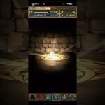 カシアンが全然出なくて絶望する男【パズドラ】