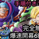 [トレクル]トレジャーマップVS黄猿！完全無特攻開幕6編成紹介！完全無特攻でもやれます！[OPTC][トレジャーマップ]