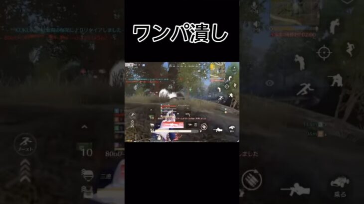 16でワンパ潰し❤️#川口家 #荒野行動 #荒野ライブ #ゲーム実況 #れいちゃ #虎家#アーロン一家#shorts #魅せプ#楽しい