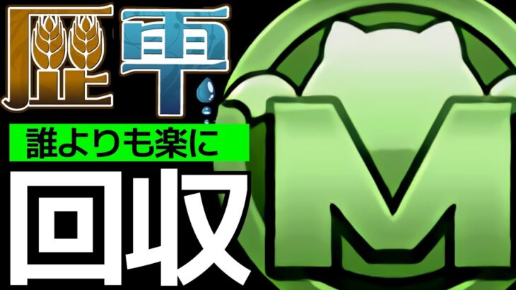 【MP30万】アシストなし共通編成で即回収！歴世コロシアム、シロキセイリュウ降臨、デスピリトゥス降臨【パズドラ】