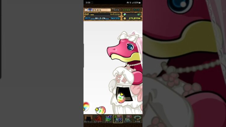 【パズドラ　ブライダルガチャ】#1　5連①　淑やかなハク狙い