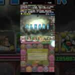 ワワワワワンパン！？【パズドラ】