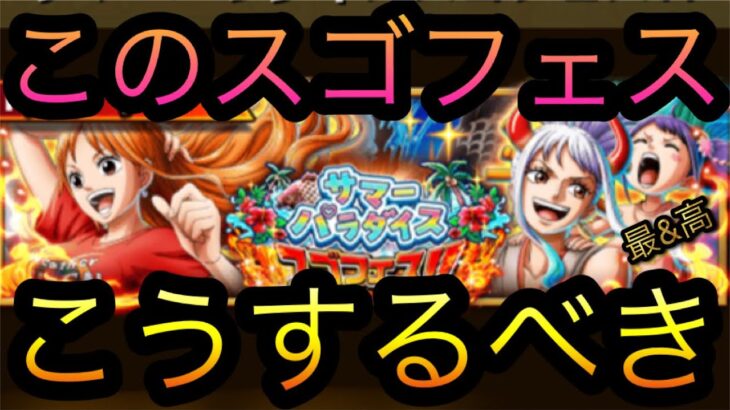 サマーパラダイススゴフェス！こうするべき！［OPTC］［トレクル］［ONE PIECE　Treasure　Cruise］［원피스 트레져 크루즈］［ワンピース］