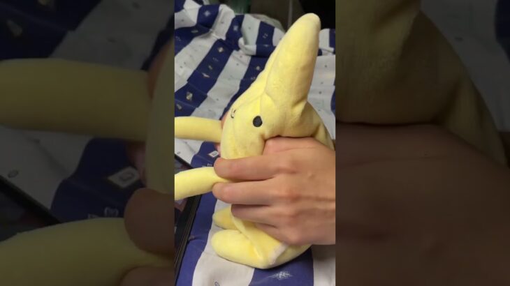 【あんスタMusic】Love it Love it SPP #大彩 #ぬいぐるみ #あんさんぶるスターズ #あんスタ #rabbits