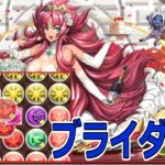 【パズドラ】ブライダル2025杯！ ルーレットから色掘るってマジ？