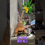 ライカム  ポケモンGO  沖縄移住計画