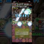 4消し頑張れ！！【パズドラ】