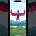 【ポケモンGO】エクセレントスローでGETなるか⁈ ガラルファイヤー おさんぽおこう