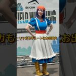 【DQW】第4回ドラゴンクエストウォーキングinエスコンフィールド北海道レポ #DQウォーキング
