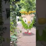 とことこメェークル🐏　#shorts #ポケモンgo #ポケモン #pokemongo