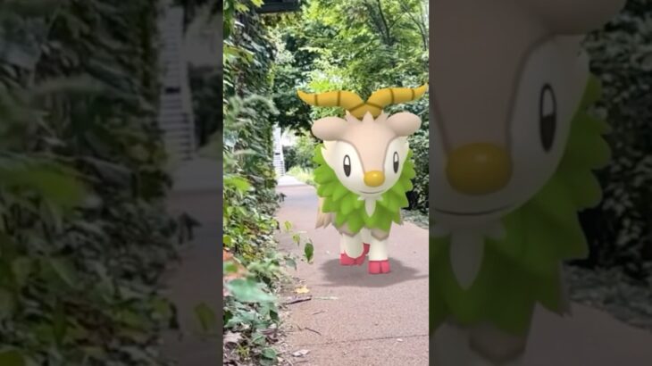 とことこメェークル🐏　#shorts #ポケモンgo #ポケモン #pokemongo