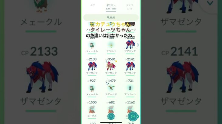 【ポケモンGO！】　GOフェス2025、1日目の結果よ〜！ #ポケモンgo #ポケモン #pokemongo