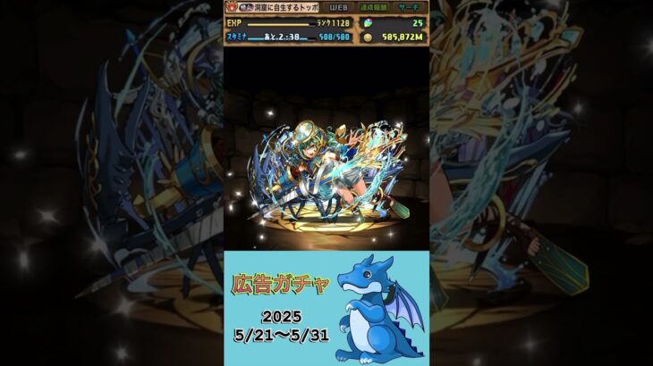 [パズドラ]  広告ガチャ　2025/5/21〜5/31