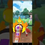 サマーカップ【ポケモンGO】デンチュラ、ブルンゲル、ラウドボーン※ハイパーリーグバージョン