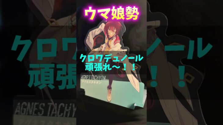 ウマ娘勢と競馬民の違いpart5 #ウマ娘プリティーダービー #競馬 #shorts